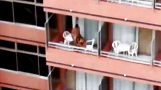 Залуу хүмүүсийн хооронд орон дээр ердийн секс болсон