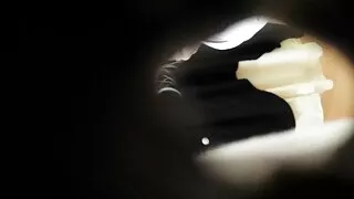 Horny охид байх секс