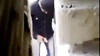 Нааштай дөрвөн нүдтэй хулгана хойлог