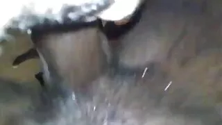 Дөрвөн Баян Эрэгтэй Зөндөө охин хэцүү л олон хүн
