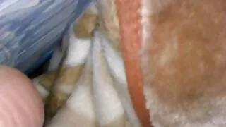 Хөөрхөн охид Шулуун гэдсээр нүх долоох дуртай