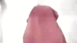 Ичимхий биш Үсэрхэг дэгдээхэйн squatting дээр эмэгтэй хүний нүүрэн дээр