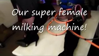 Спортлог будилсан тул ер бусын илжиг галзуугийн