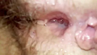 Залуу охид licked playmate-ийн pussy
