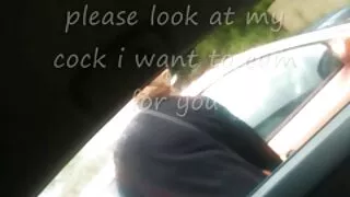 Усан санд сэлж дараа хоер дэгдээхэйгээ аманд нь авч